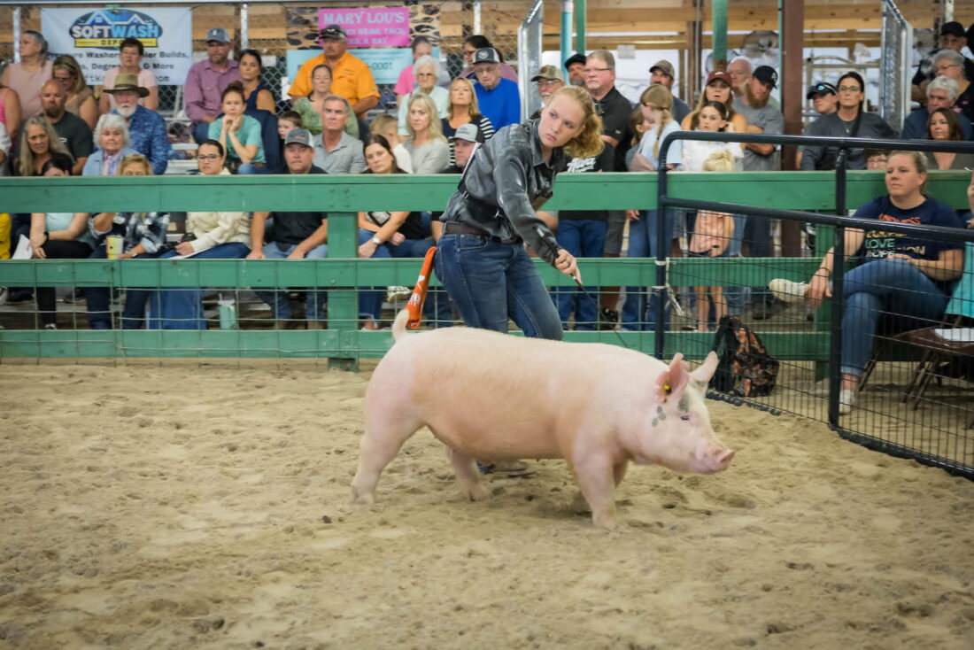 Ag Day will shine a light on the agricultural portion of the expo March 7